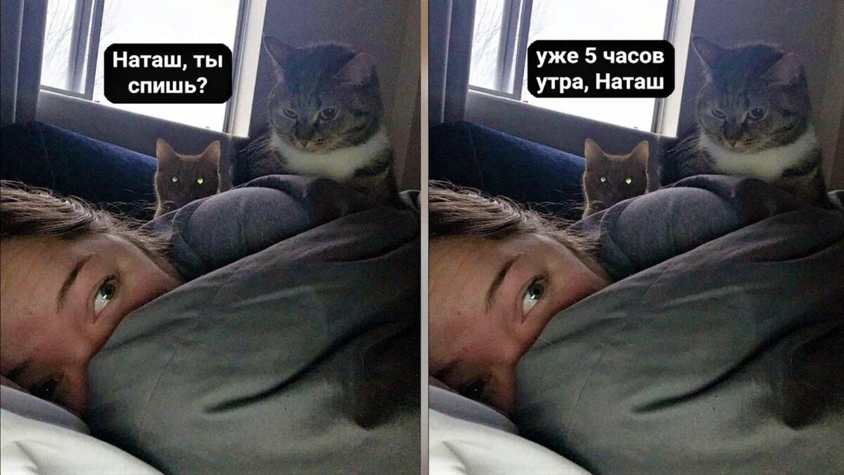 соцсети