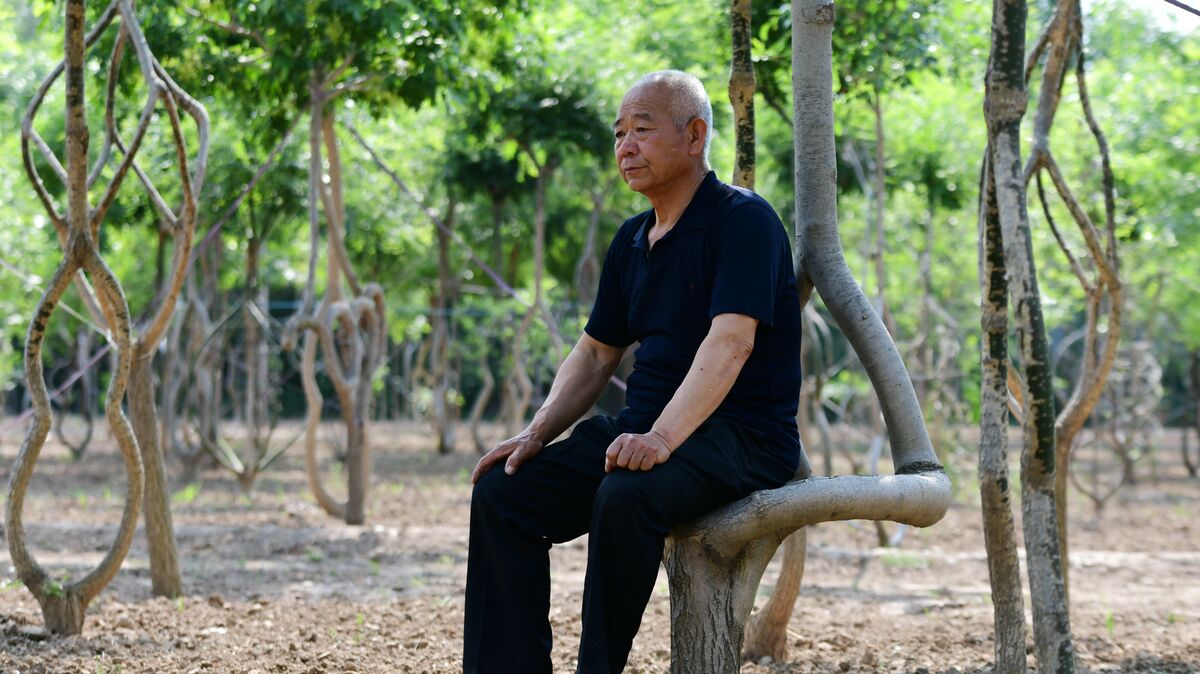 Jia Shiqing/Sipa Asia/Globallookpress