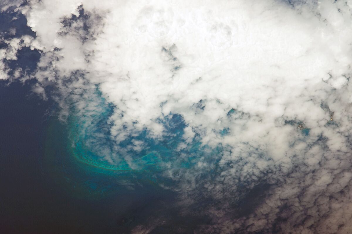 Scott Kelly/Globallookpress