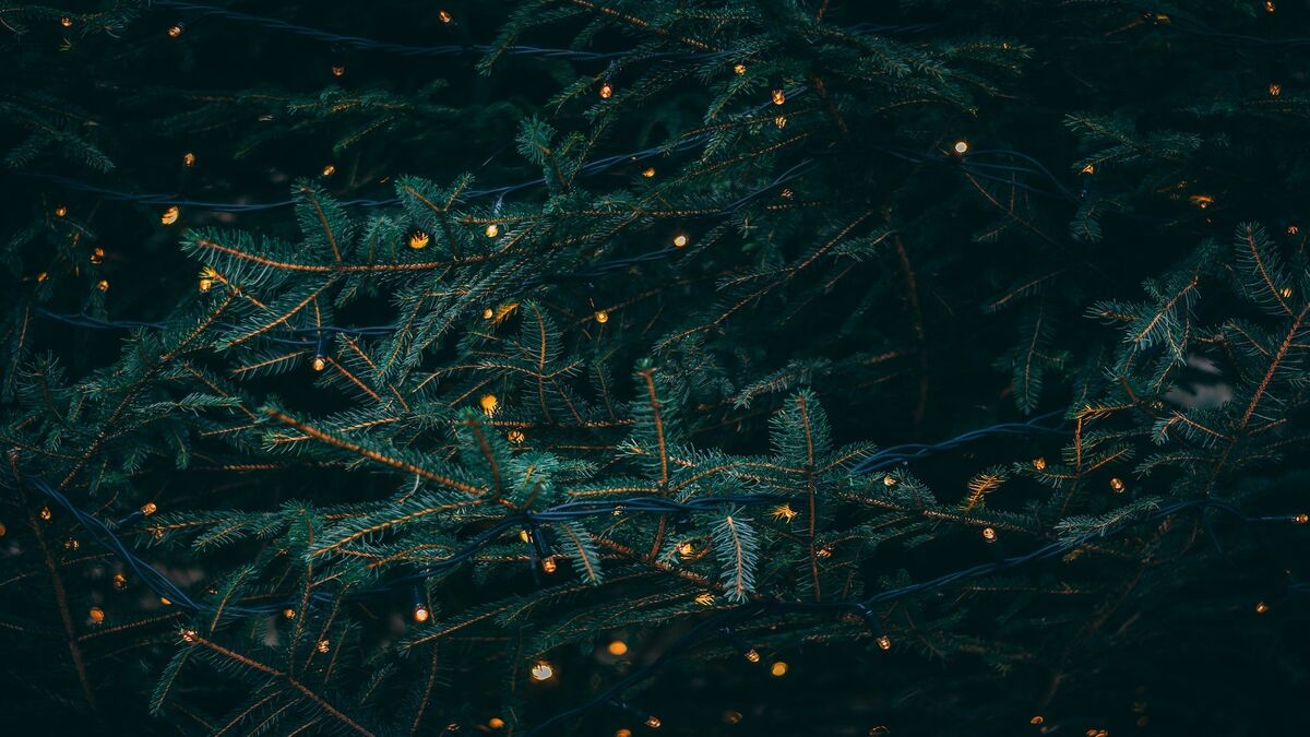 Kieran White/Unsplash