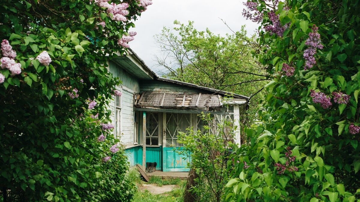 Фотобанк - unsplash.com