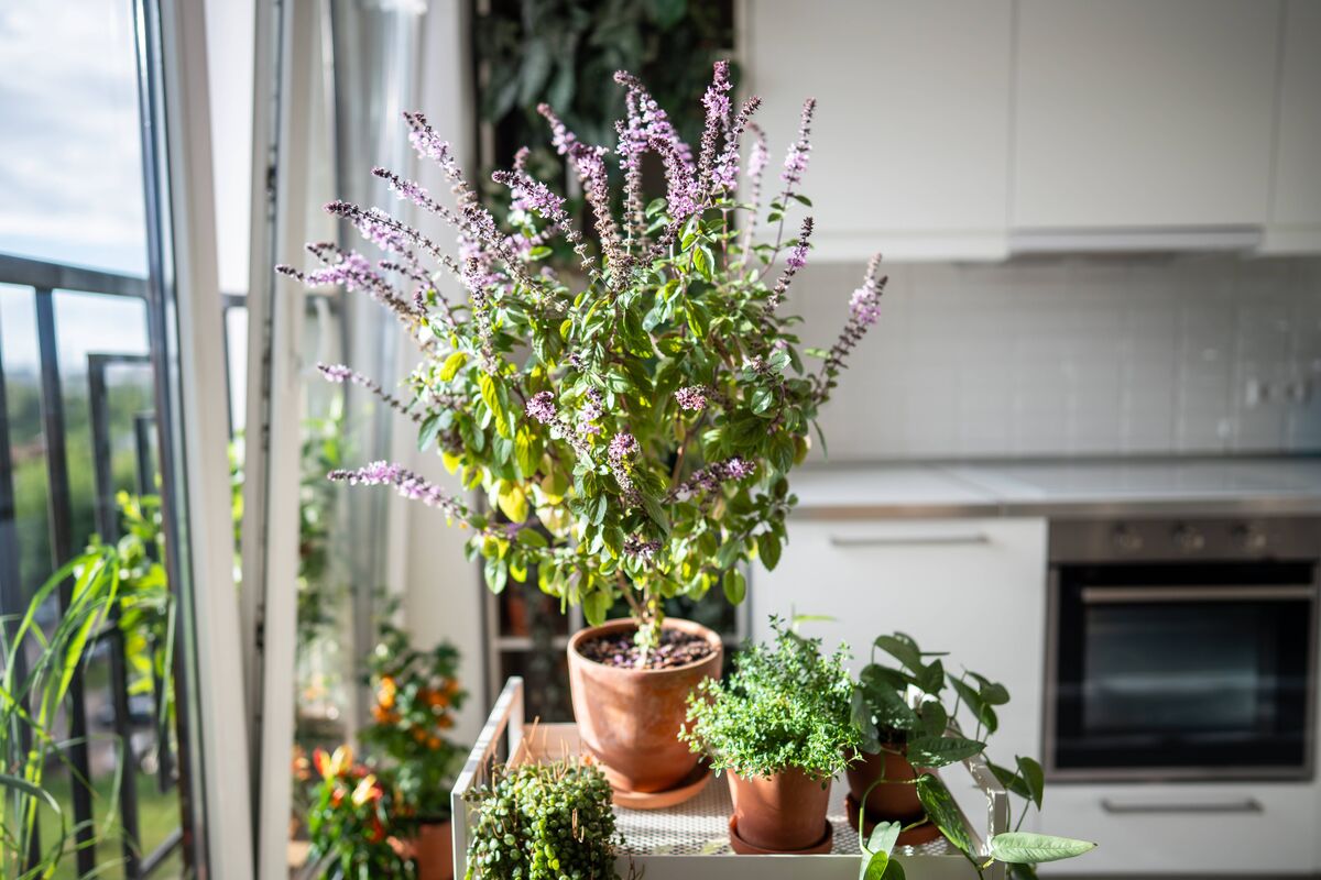 Legion-Media