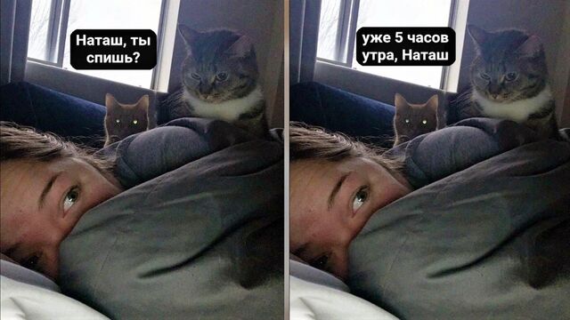 соцсети