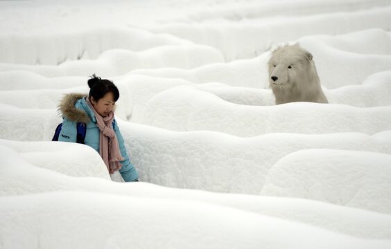 Li Jundong/Globallookpress