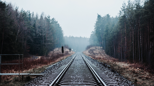 Julian Hochgesang/Unsplash