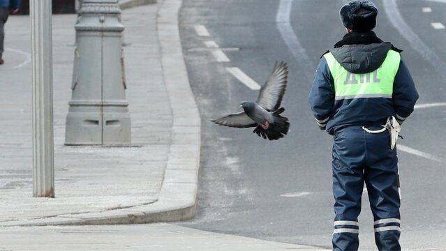 Petrov Sergey/news.ru via globallookpress.com
