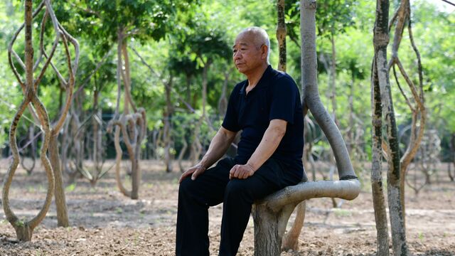 Jia Shiqing/Sipa Asia/Globallookpress