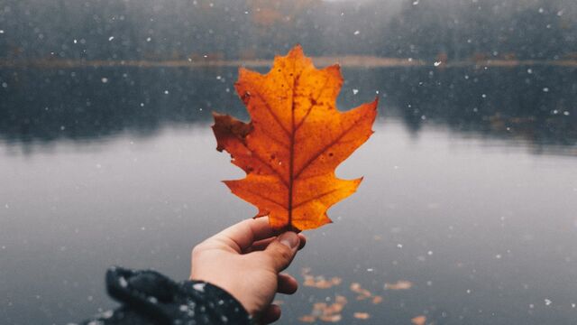 Ethan Hoover/unsplash.com