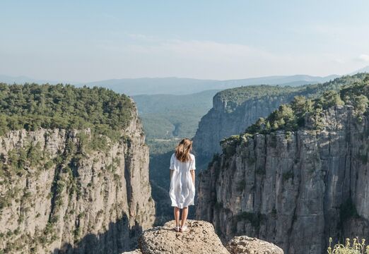 Pavel Danilyuk/Pexels.com