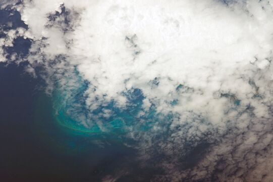 Scott Kelly/Globallookpress