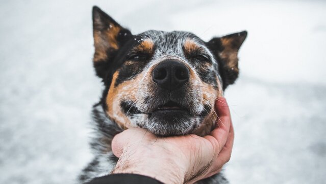 unsplash
