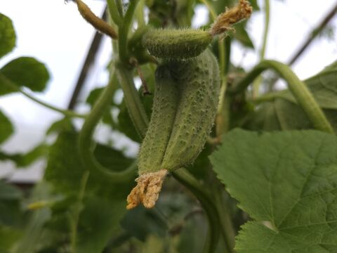 Личный архив автора