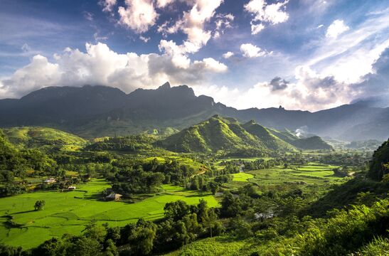 Q. Hưng Phạm/Pexels.com