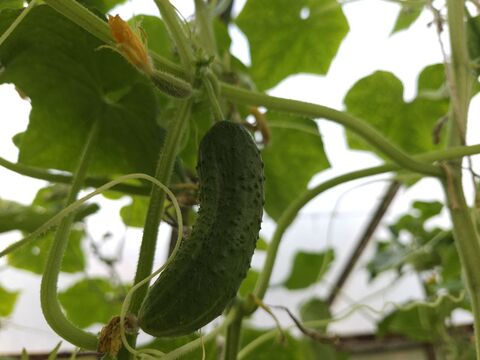 Личный архив автора