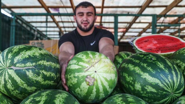 Bulkin Sergey/news.ru via/ www.globallookpress.com