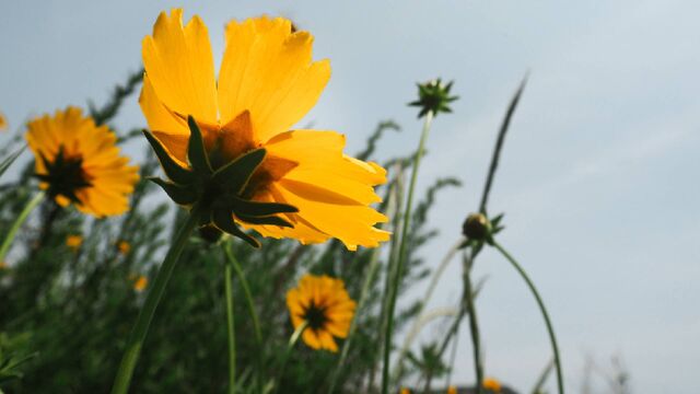 Фотобанк - pxhere.com