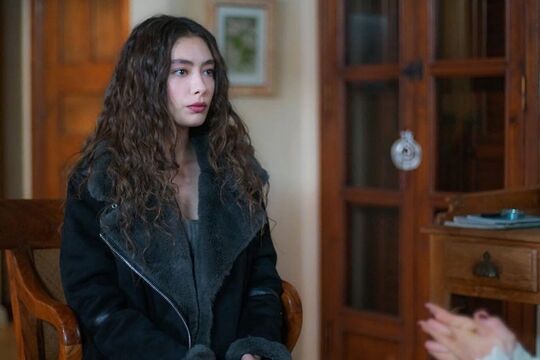 Кадр из сериала  «Дочь посла»