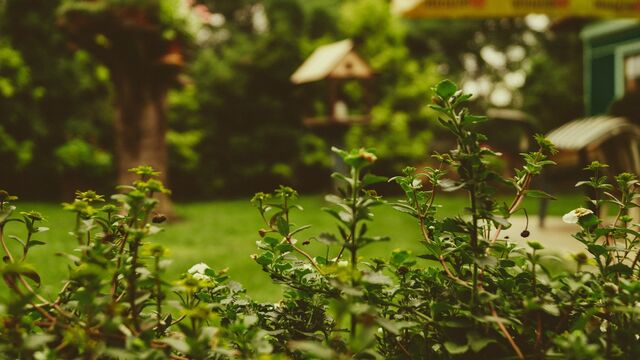 Фотобанк - unsplash.com