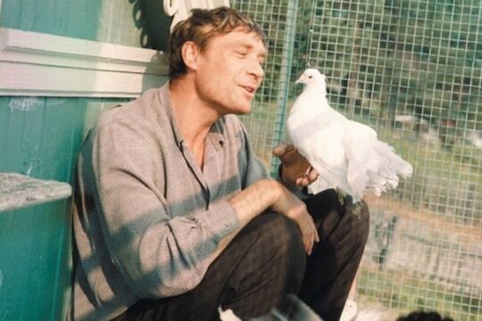 Кадр из фильма «Любовь и голуби»