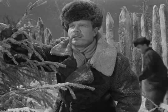 Кадр из фильма «Девчата»