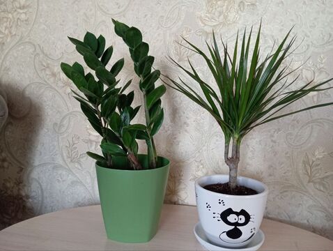 Личный архив автора