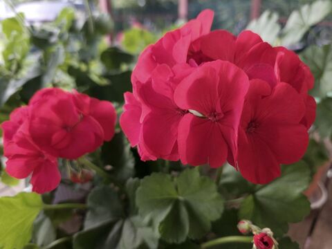 Личный архив автора