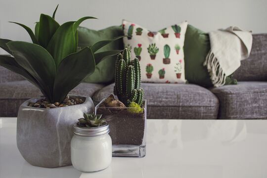 Designecologist/Pexels.com