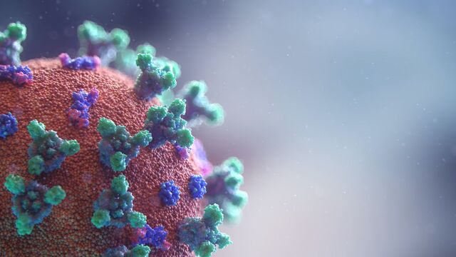 Fusion Medical Animation/Unsplash