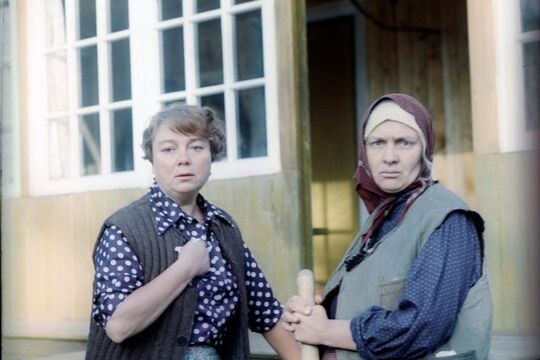 Кадр из фильма «Любовь и голуби»