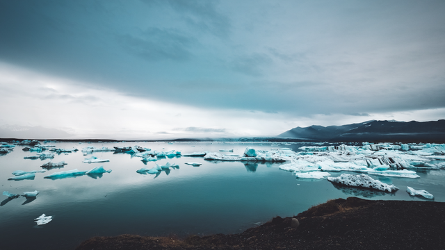 John Salvino/Unsplash