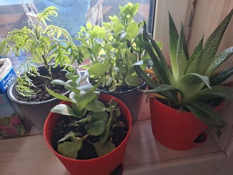 Личный архив автора