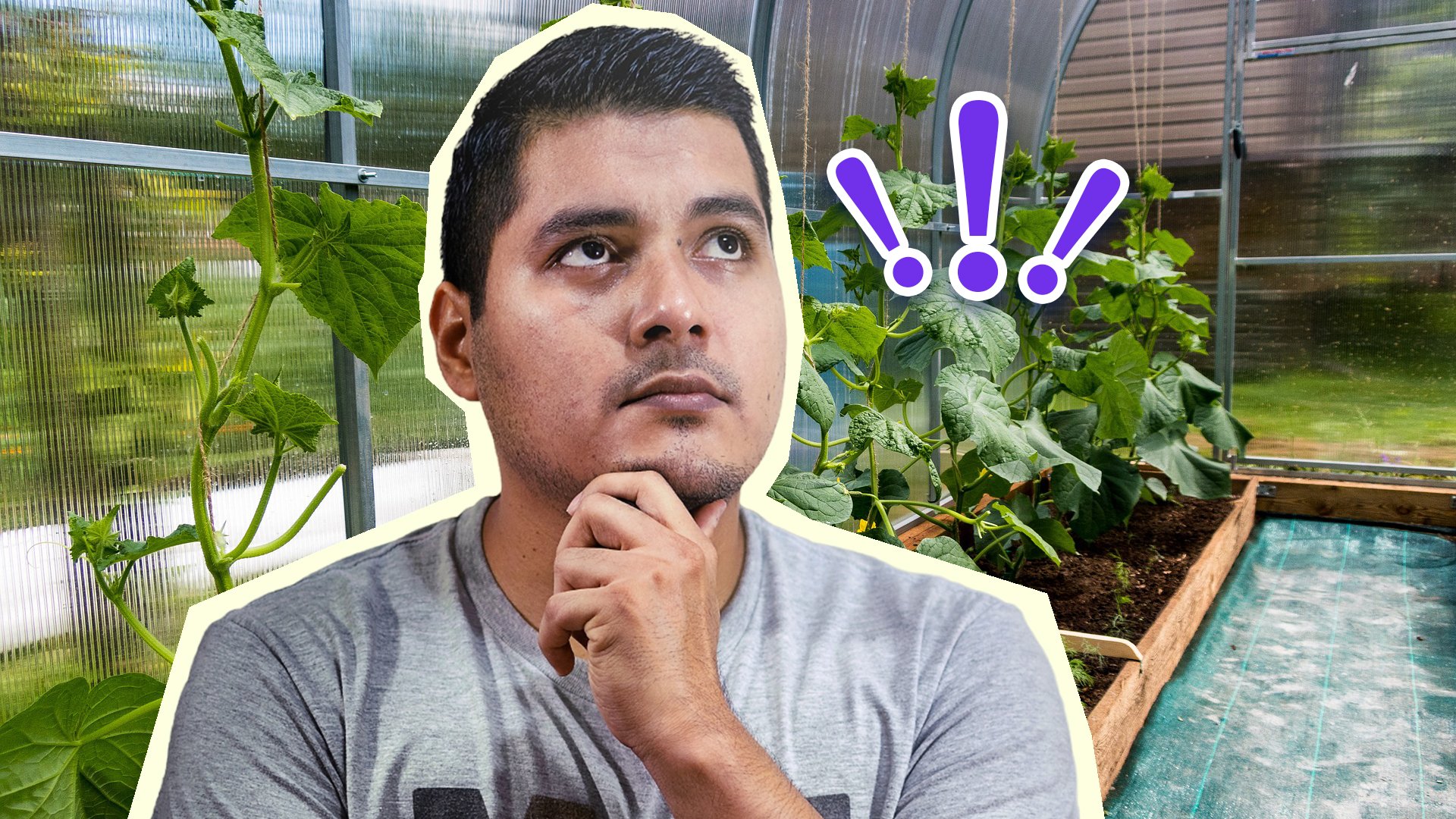 Теплица из поликарбоната прослужит долгие годы: при соблюдении всего ...